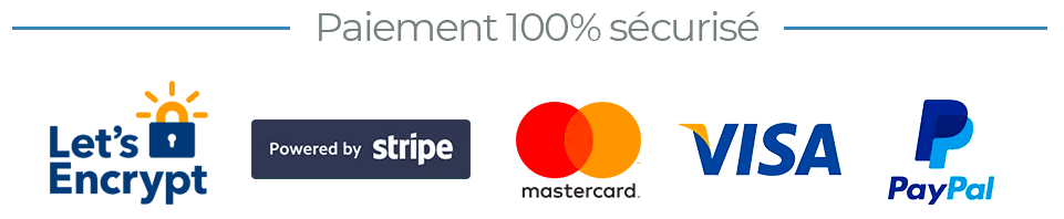 100% secure payment