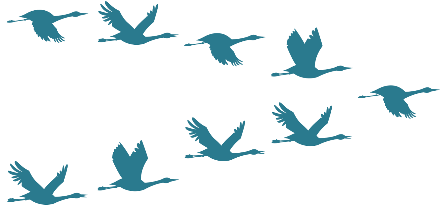 Votre hébergeur est lent ? Vous n'êtes plus satisfait ? EasyHoster migre votre site gratuitement !