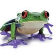 Avatar de Jean-Benoit Kauffmann