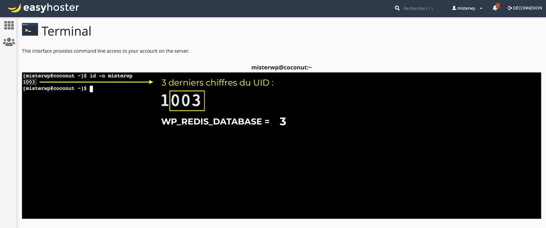 Redis, UID 3 derniers chiffres id u username (2)