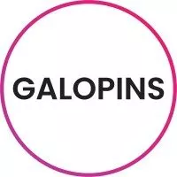 La neuvième Meilleure Agence WordPress en France est Galopins